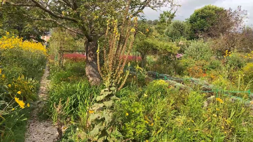 Claude Monet's garden