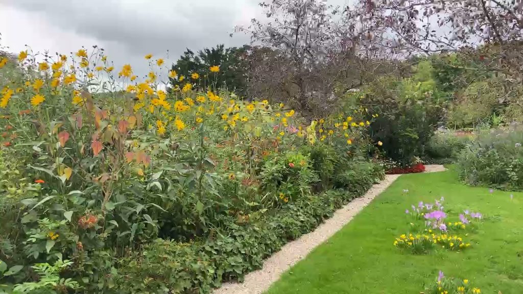 garden pathway and yellow flowers in Claude Monet's garden