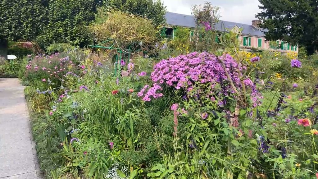 light purple flowers in Claude Monet's garden