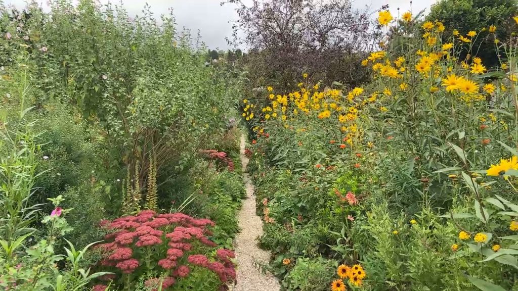 narrow path in Claude Monet's garden