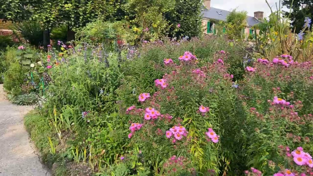 pink flowers in Claude Monet's garden