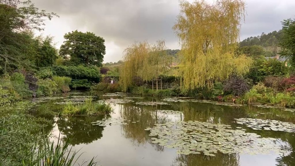 Claude Monet's water lily pond