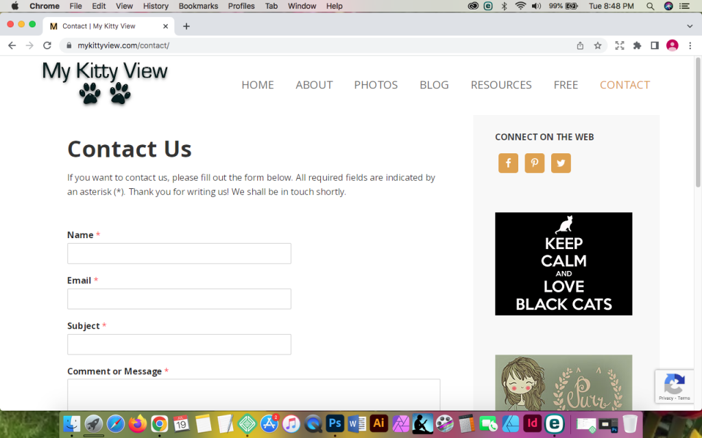 My Kitty View -- Contact Page